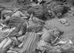 纳粹集中营图片,历史的残酷见证