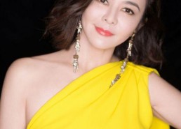 香港美女明星,揭秘美女明星们的魅力风采