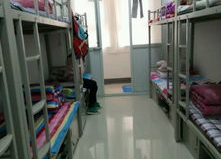 学校寝室照片,一窥学子温馨家园”