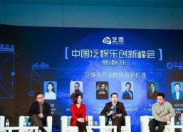 娱乐峰会,行业风向标下的璀璨星光