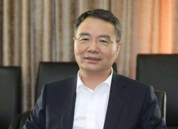 徐冠巨背景,从草根企业家到商业领袖的蜕变之路