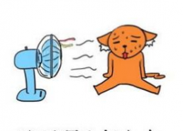 关于热的图片,从图片中解读热能的传递与转化