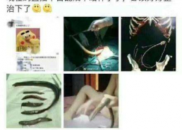 女主播 黄鳝事件视频