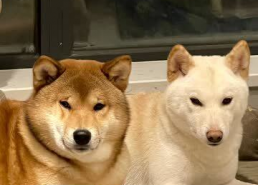 比方妈照片,妈妈与孩子的温馨定格